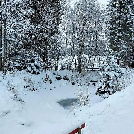 De Nussi's 1 Daire *